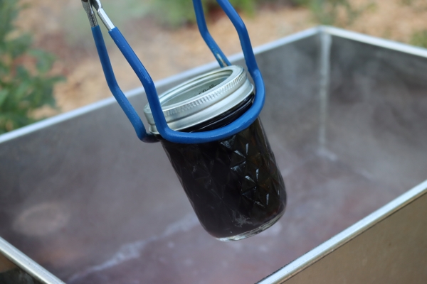 Canning Blackcurrant Juice