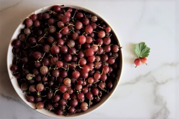 Gooseberries