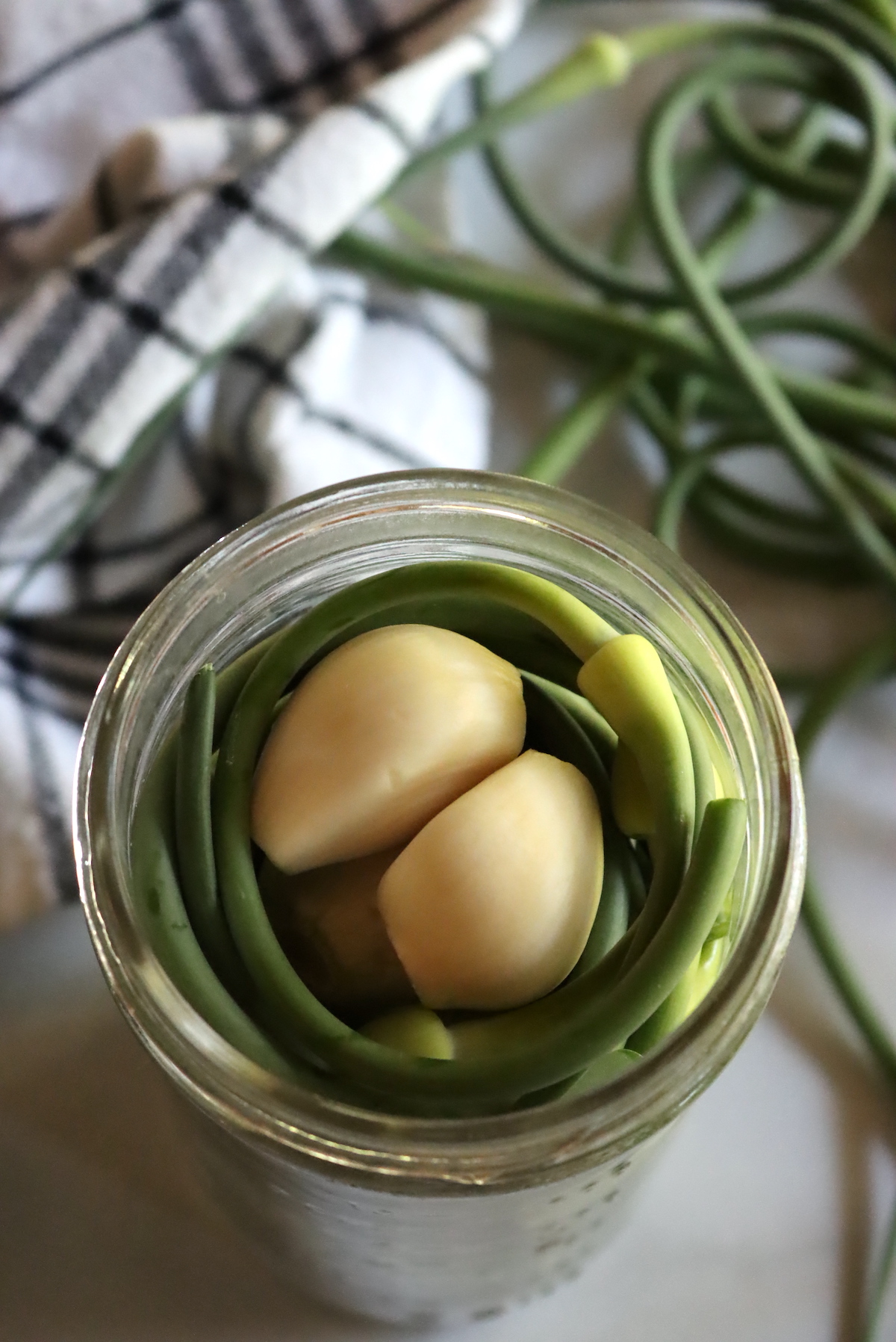 Pickled Garlic Scapes with garlic