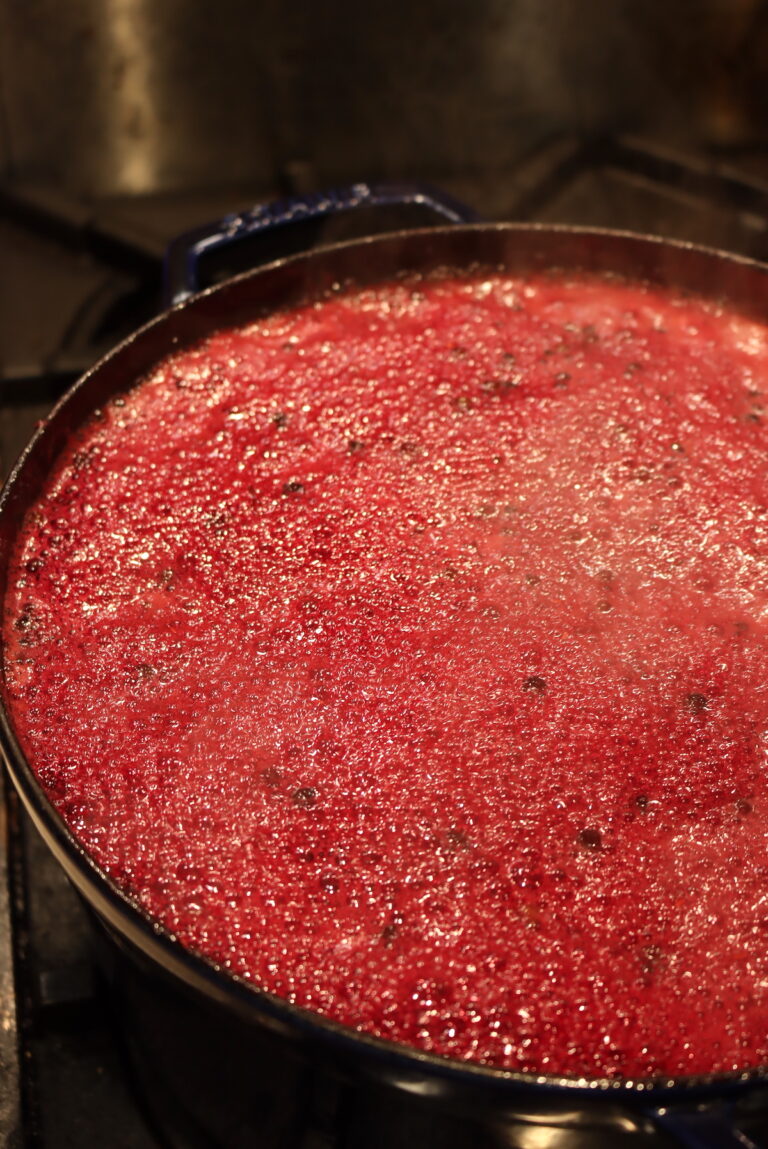 OldFashioned Elderberry Jam