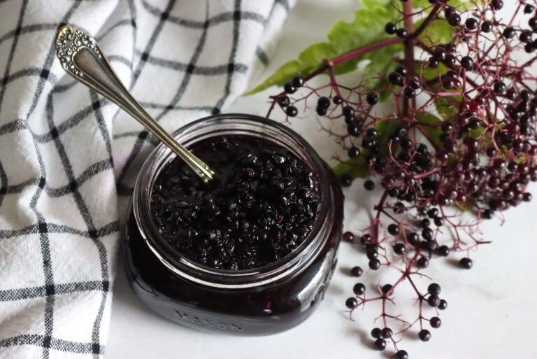 OldFashioned Elderberry Jam