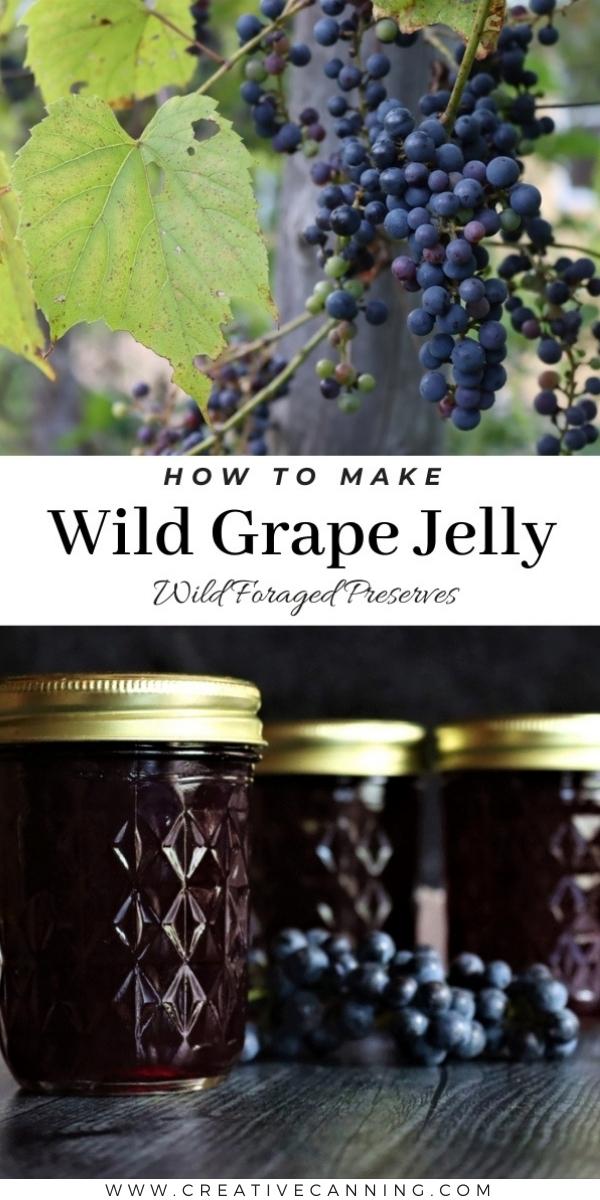 How to Make Wild Grape Jelly