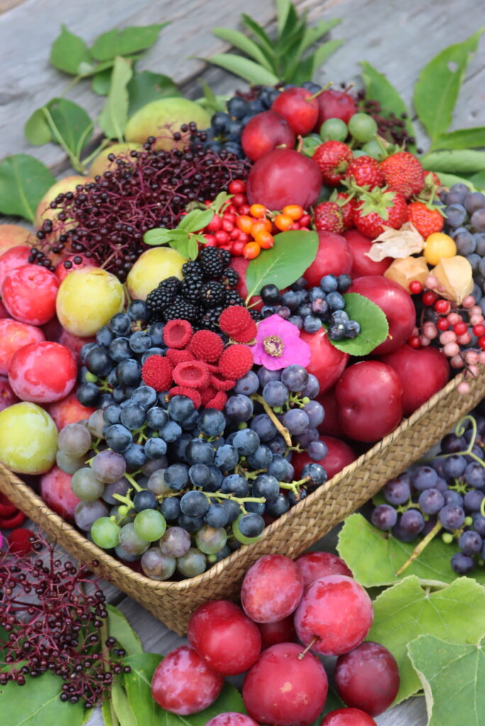 September Harvest Basket
