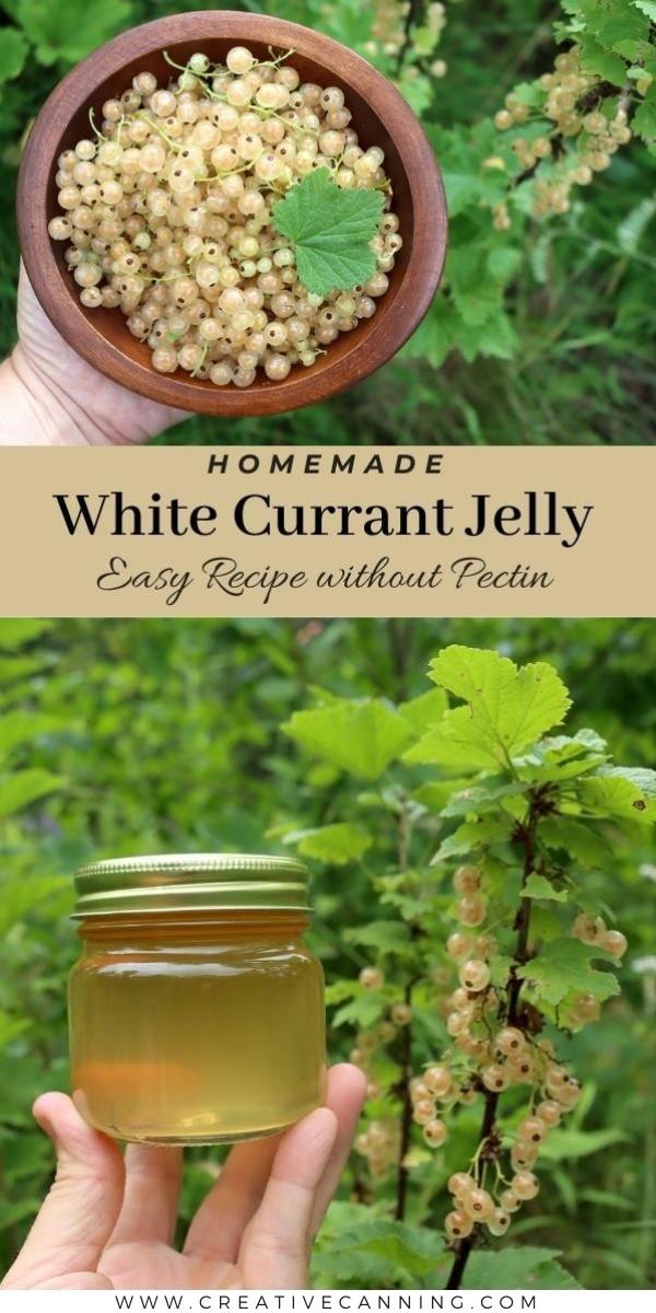 White Currant Jelly Recipe