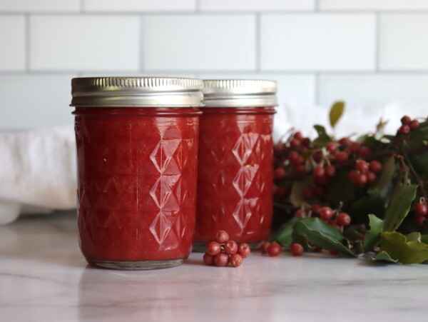 Autumn Olive Jam