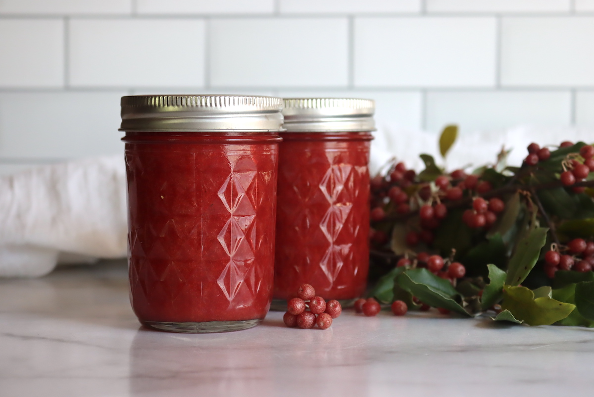 Autumn Olive Jam