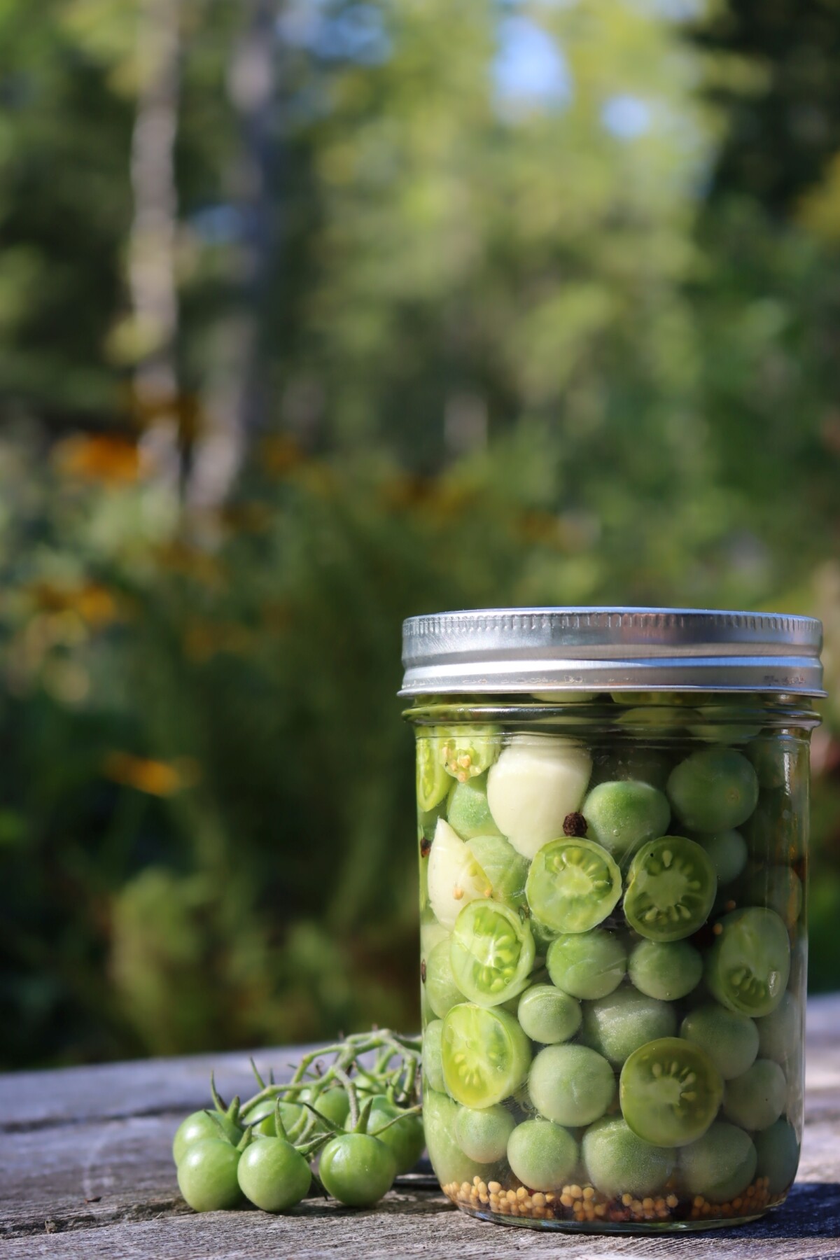 Pickled Stuffed Green Tomatoes - Natasha's Kitchen