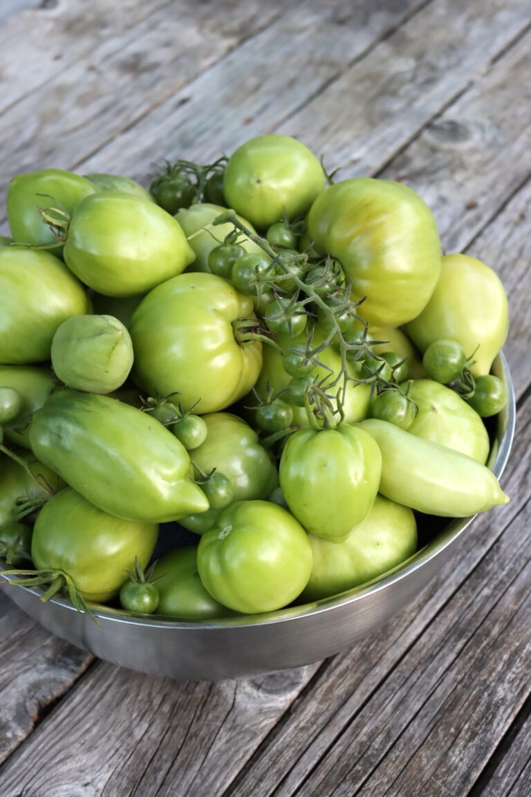 20+ Green Tomato Canning Recipes Creative Canning