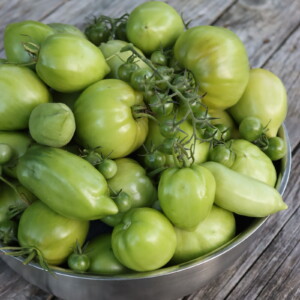 Green Tomato Recipes