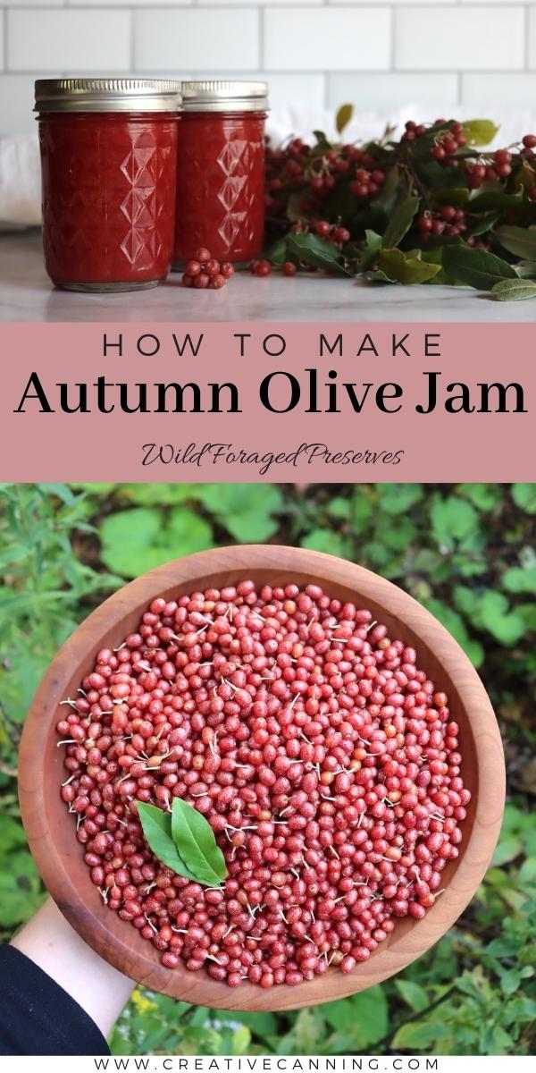 How to Make Autumn Olive Jam