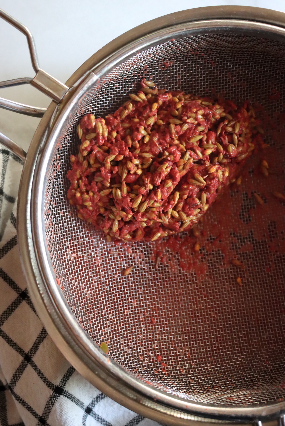 Making Autumn Olive Jam