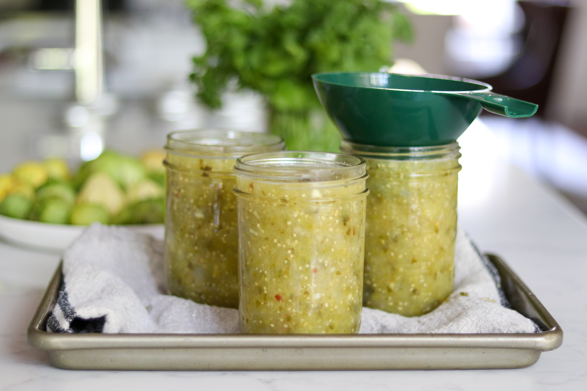 Making Tomatillo Salsa