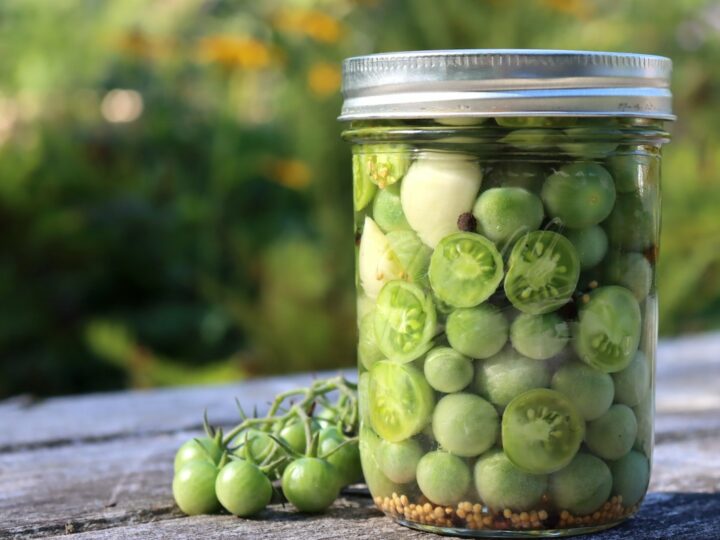 Pickled Green Tomatoes - Healthy Canning in Partnership with Canning for  beginners, safely by the book
