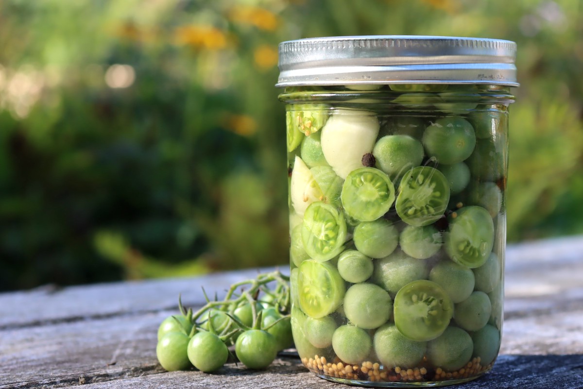 Quick Pickled Green Tomatoes: Without Canning - Farm to Jar