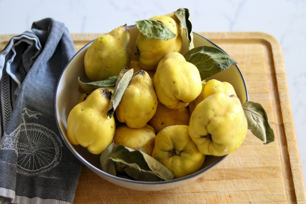 Bowl of Quince