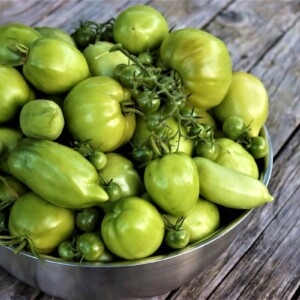 Green Tomato Recipes