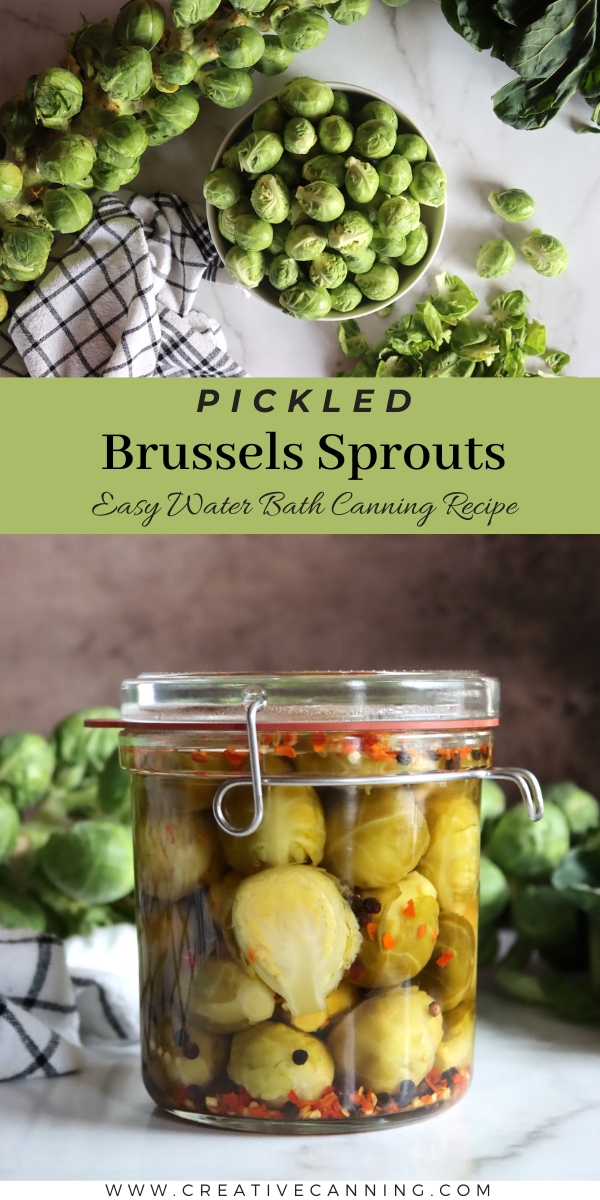 Pickled Brussels Sprouts Recipe
