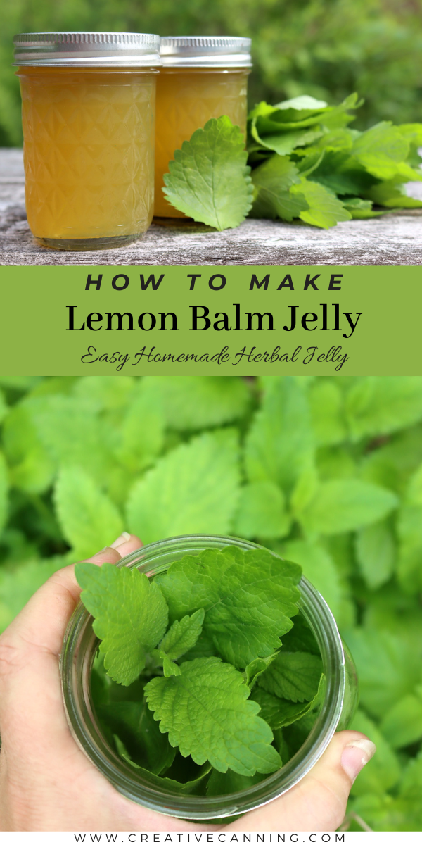 How to Make Lemon Balm Jelly