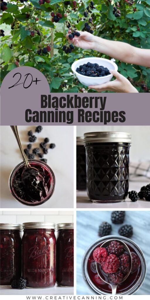 20+ Blackberry Canning Recipes