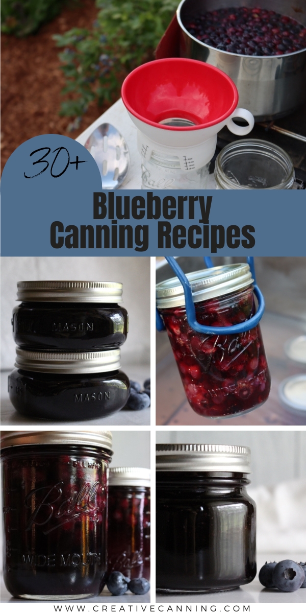 Blueberry Canning Recipes