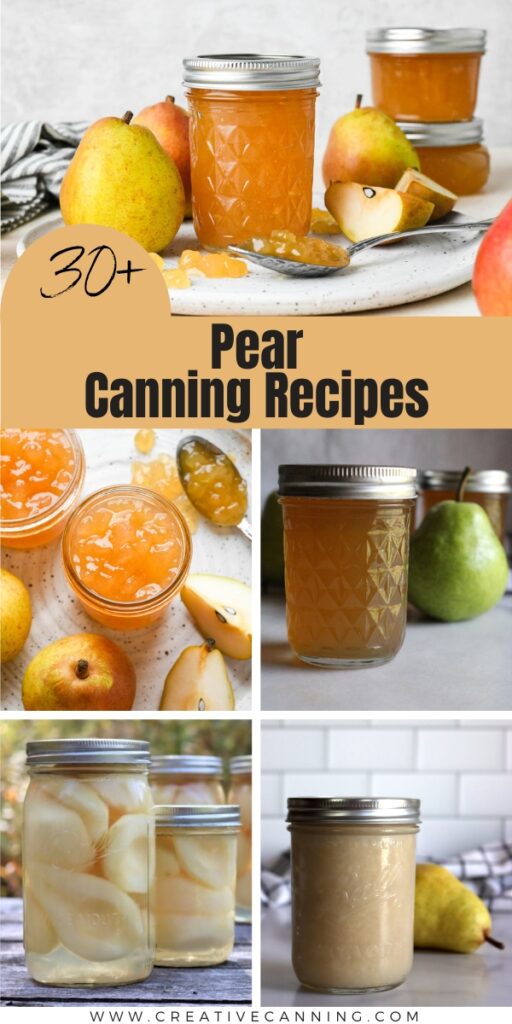 30+ Pear Canning Recipes Creative Canning
