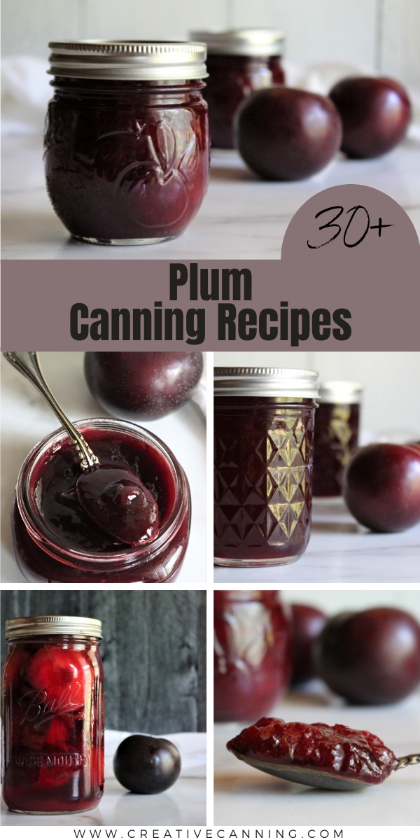 Canning Plums-Delicious Spiced Plum Recipe - Ankeny Hill Farm