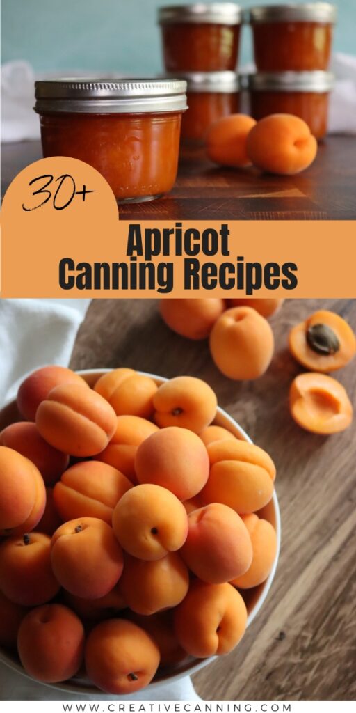 30+ Apricot Canning Recipes