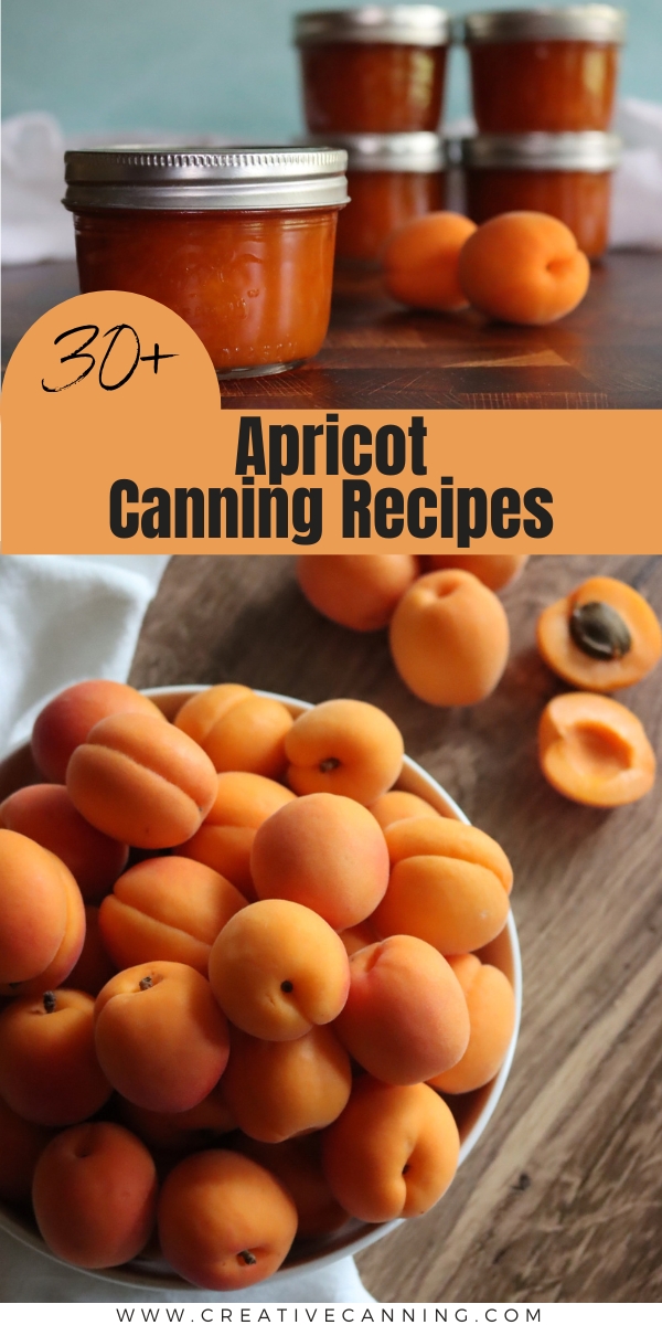 Apricot Canning Recipes