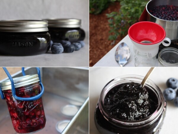 Blueberry Canning Recipes