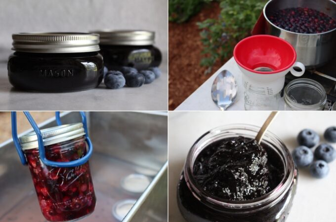 30+ Blueberry Canning Recipes