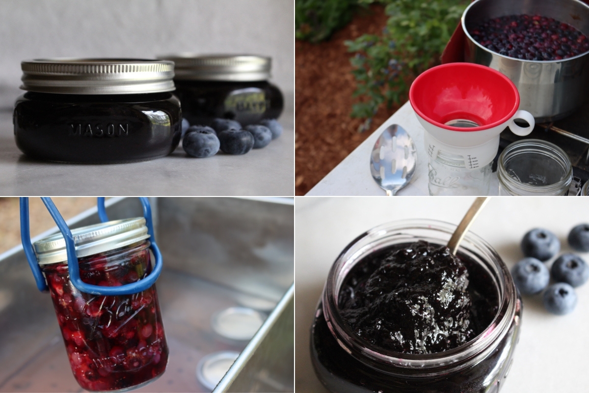 Blueberry Canning Recipes