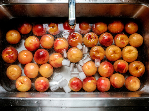 Ice Bath for Peaches after blanching to peel them for canning