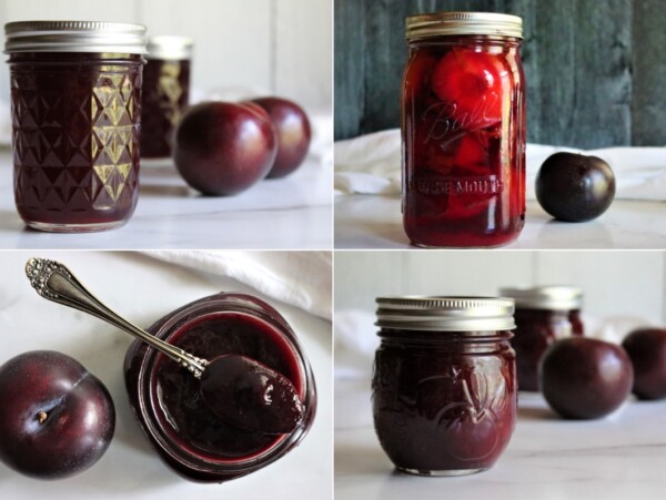 Plum Canning Recipes