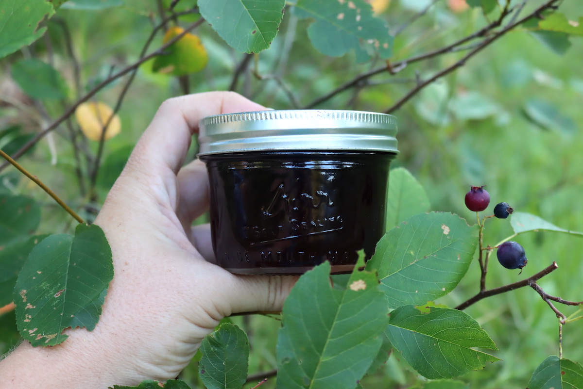 Saskatoon Berry Jelly