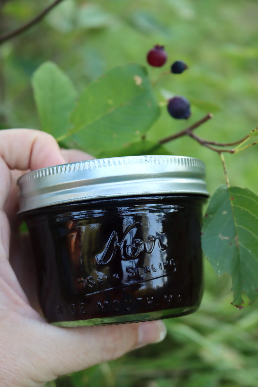 Saskatoon Jelly (aka. Serviceberry, Juneberry, Shadbush)
