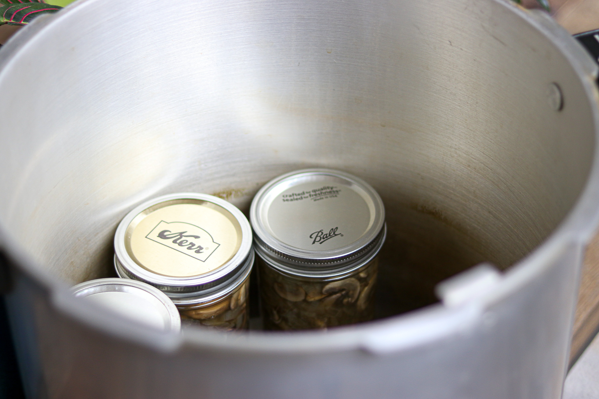 Canning Cream of Mushroom Soup Base