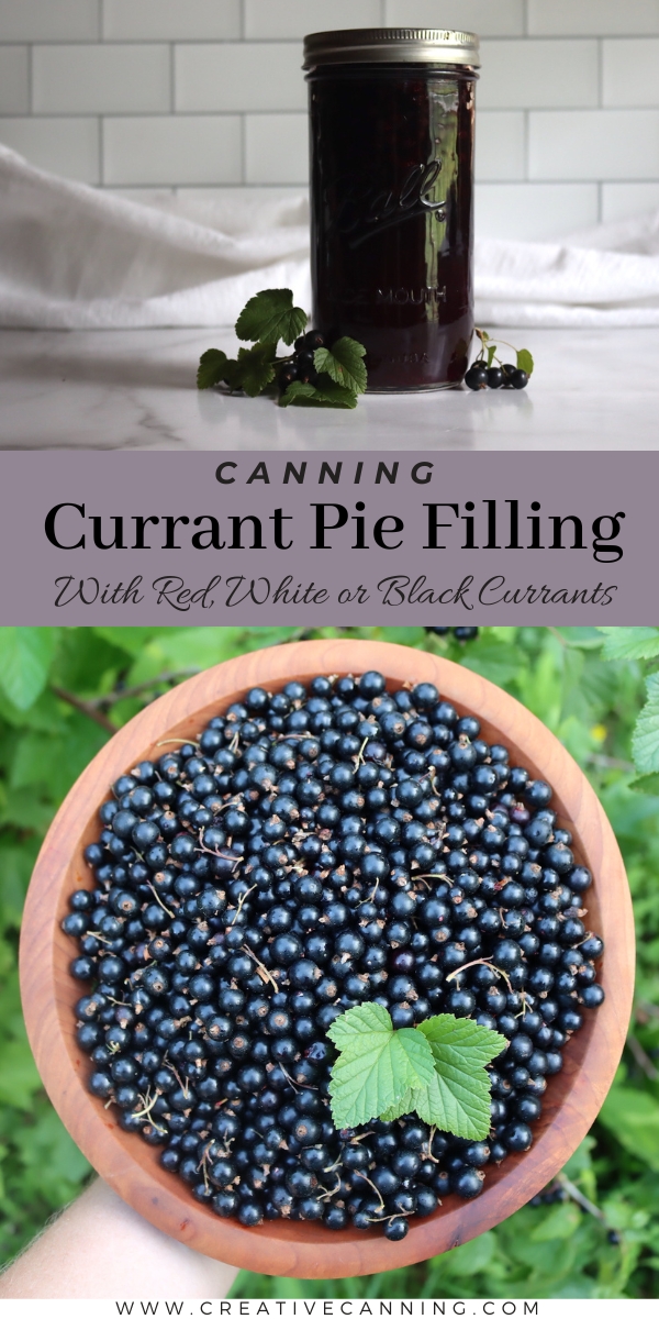 Canning currant pie filling