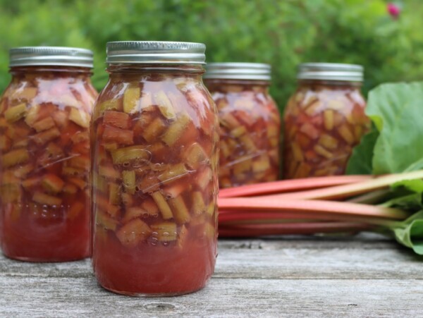 Canning Rhubarb Pie Filling