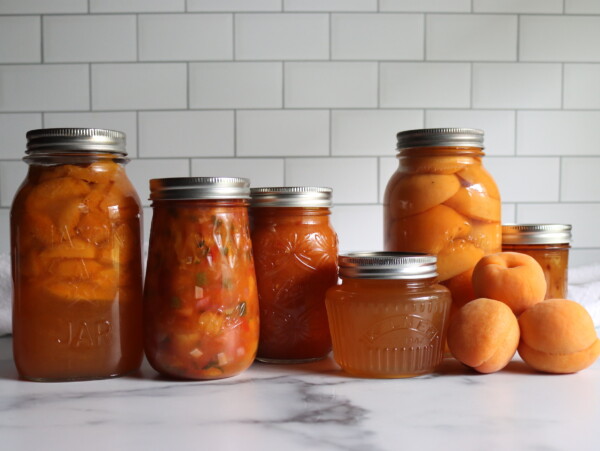 Apricot Canning Recipes