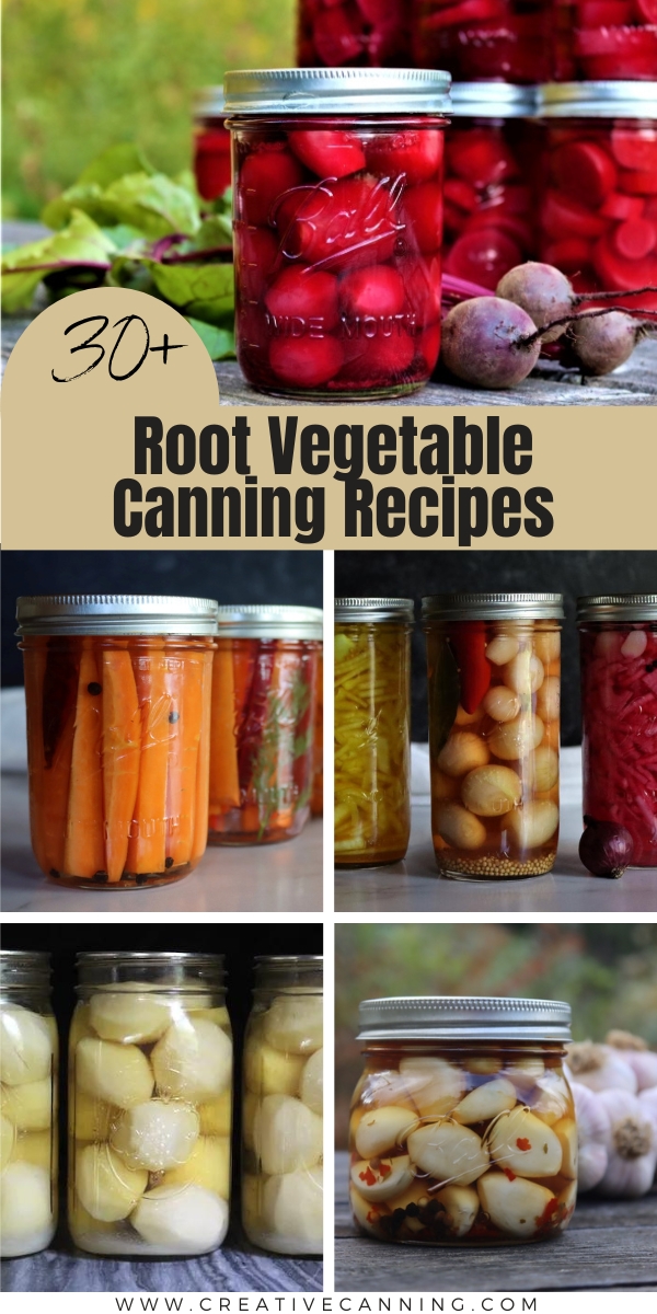 30+ Root Vegetable Canning Recipes