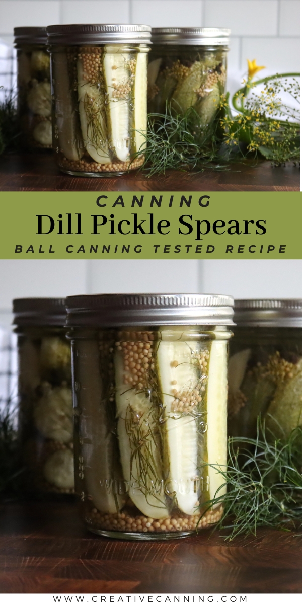 Canning Dill Pickle Spears