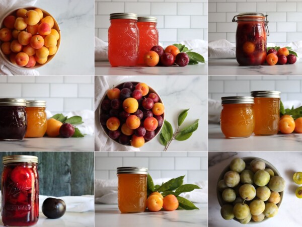 Plum Canning Recipes