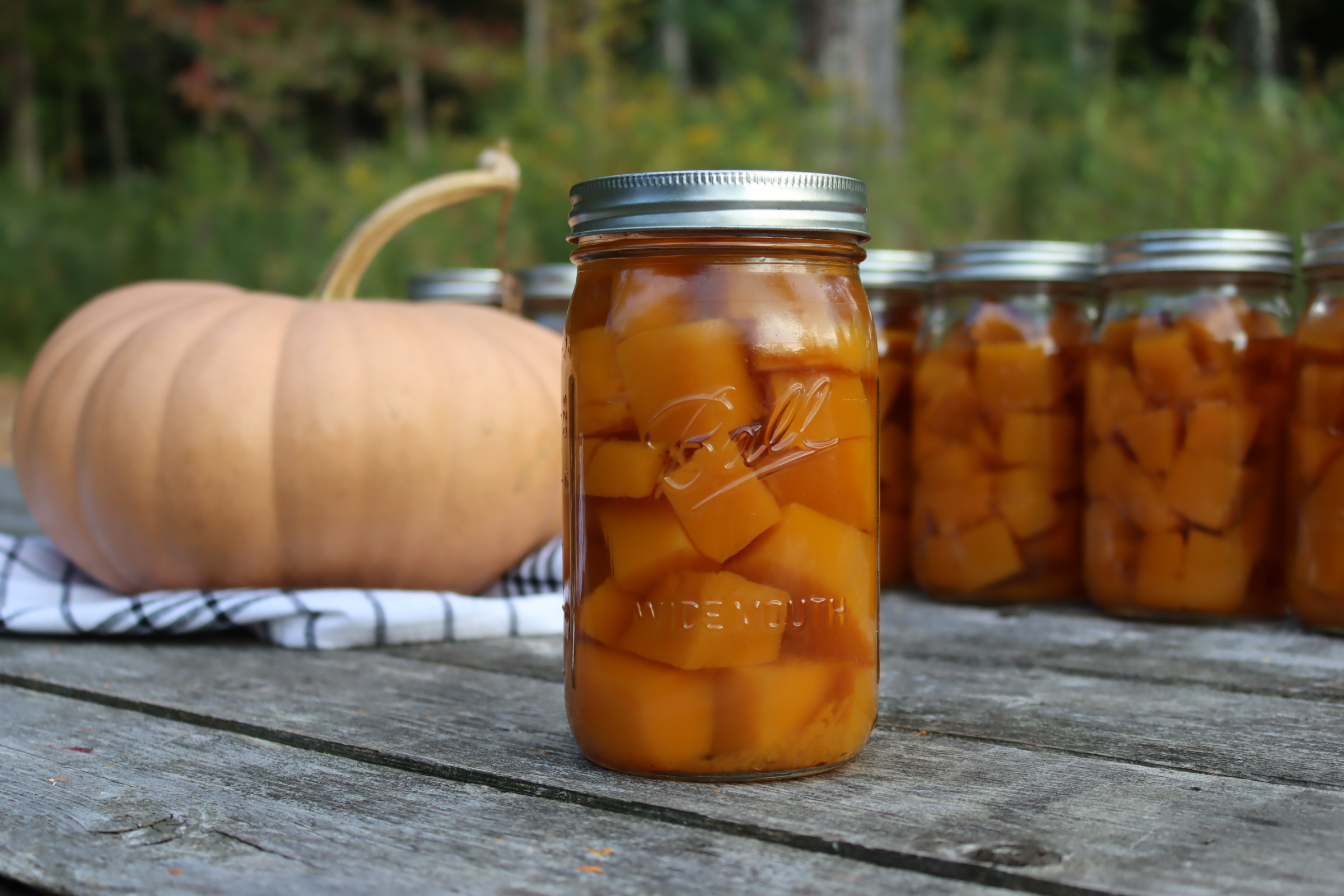 Canning Pumpkin