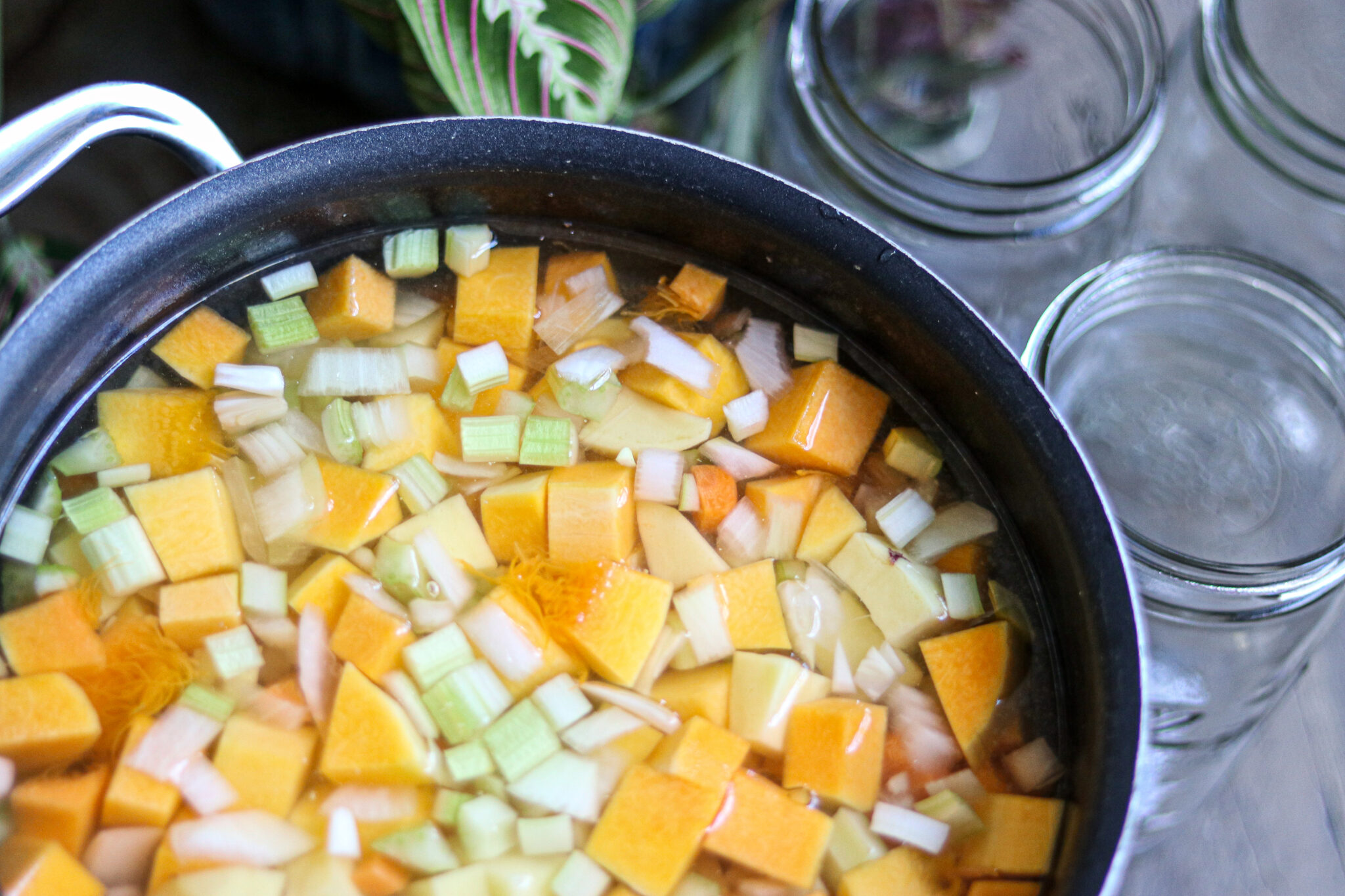 Canning Butternut Squash Soup Base