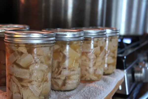 Home Canned Leftover Turkey