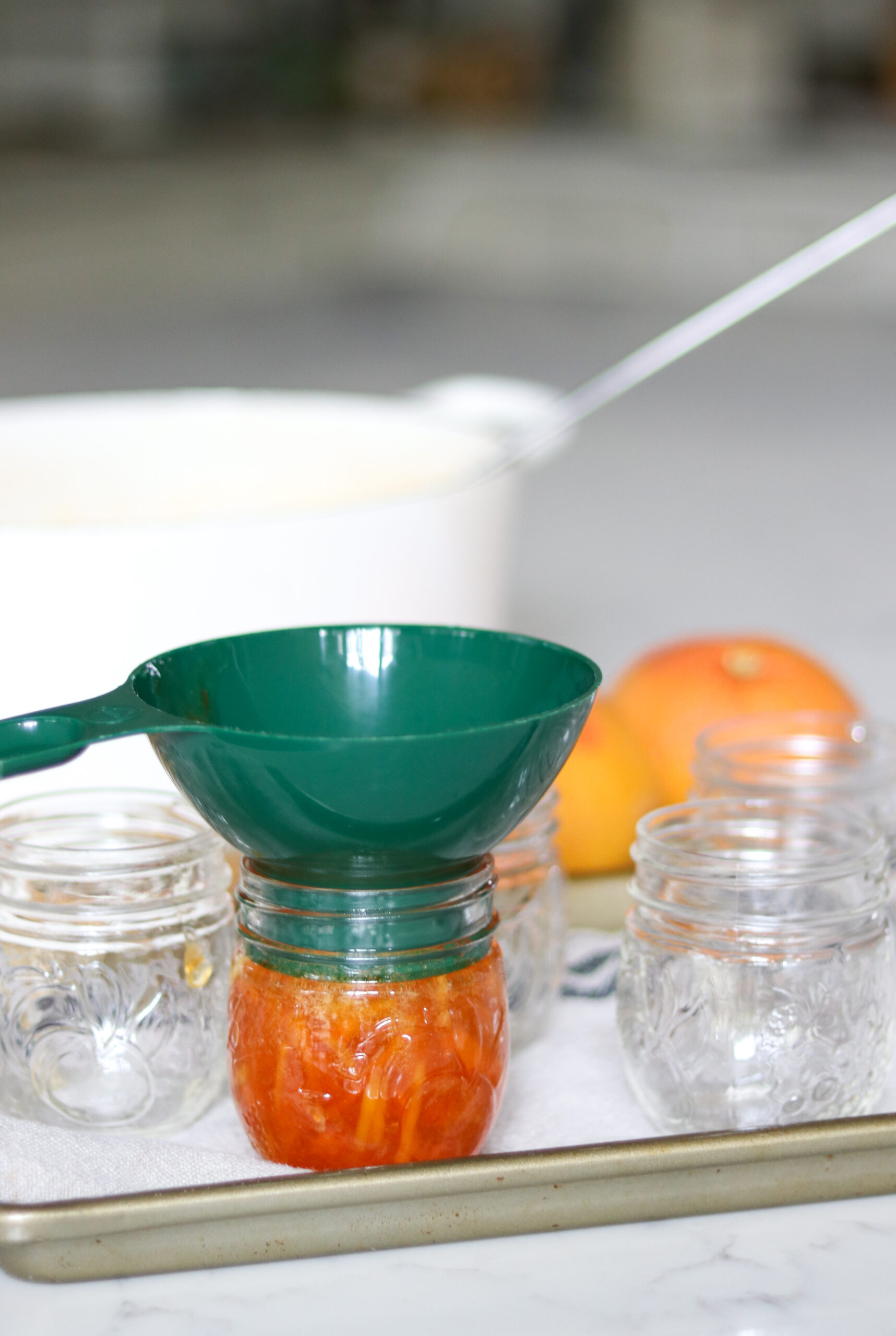 Making Grapefruit Marmalade for Canning