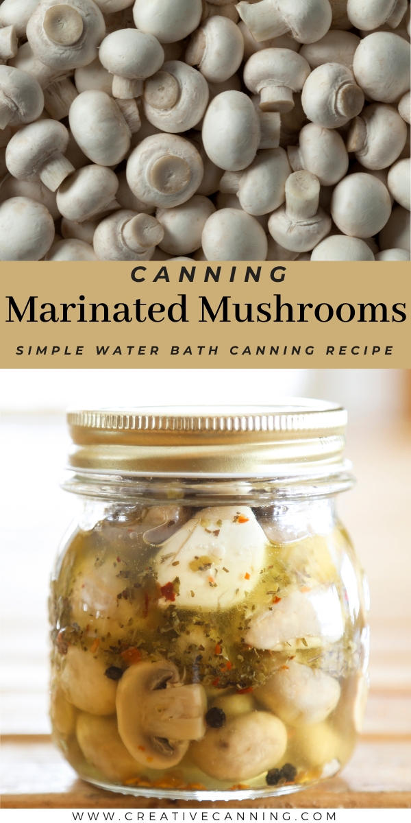 Marinated Mushrooms Canning Recipe