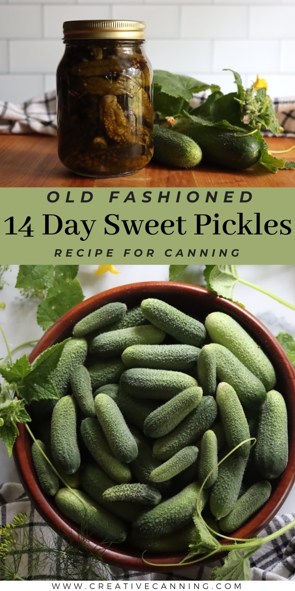 Old Fashioned 14 Day Sweet Pickles Canning Recipe