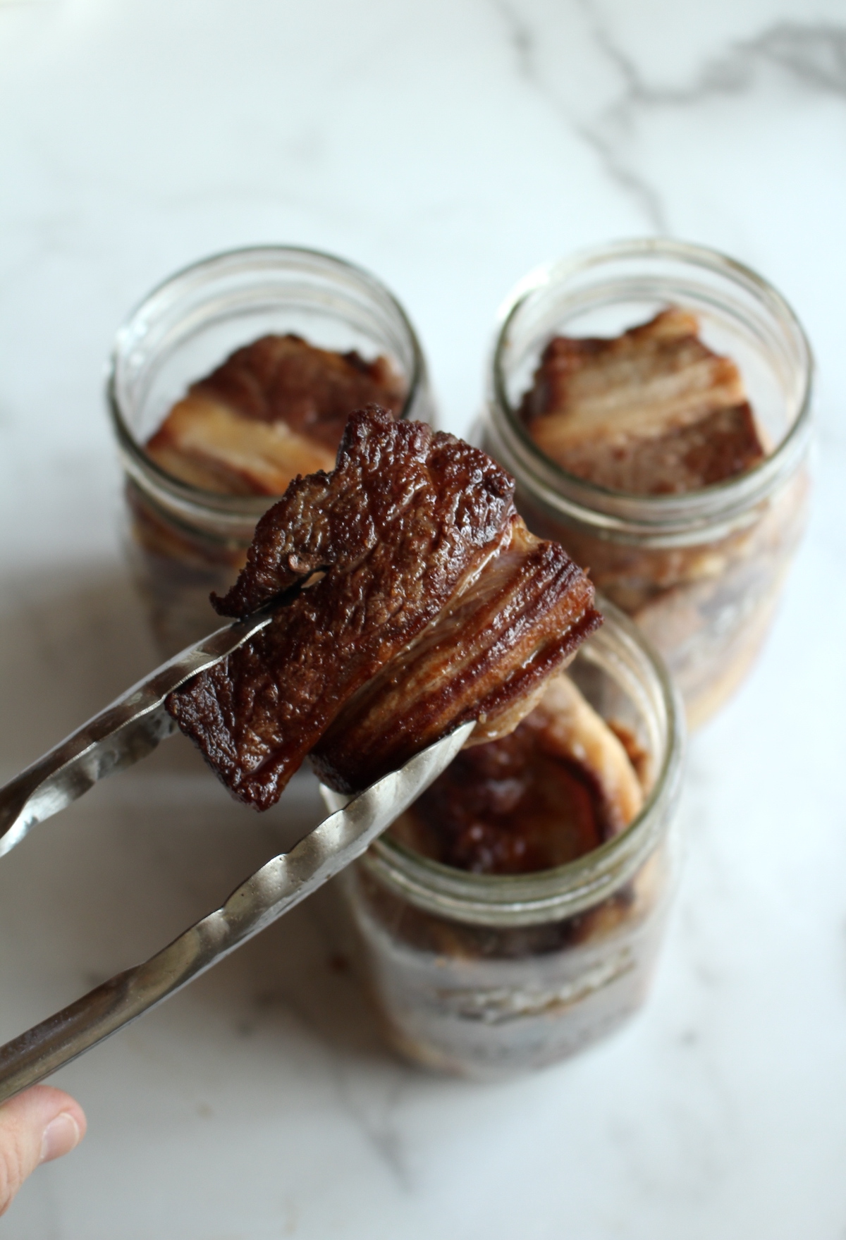 Short Rib Browned for Canning