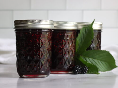 Canning Blackberries - Practical Self - View #5